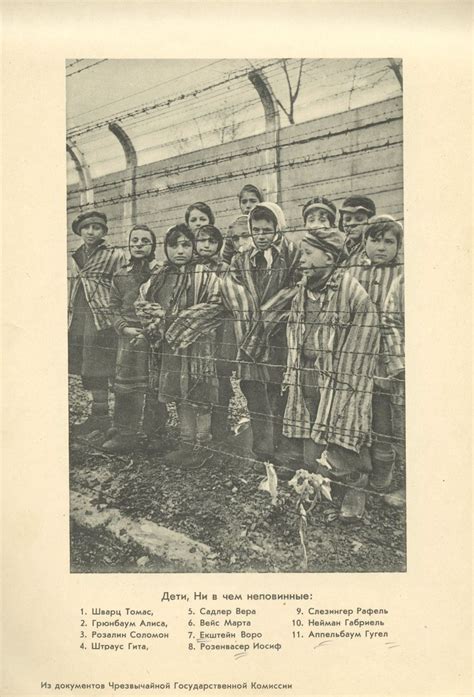 The liberation of the Auschwitz camp - a rare photo album - DYNASTY ...