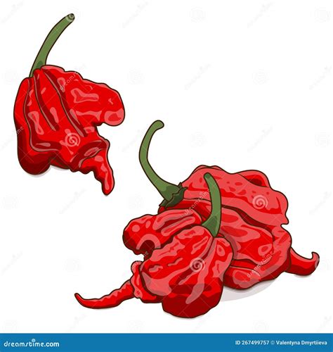 Carolina Reaper Peppers Vector Illustration Cartoondealer