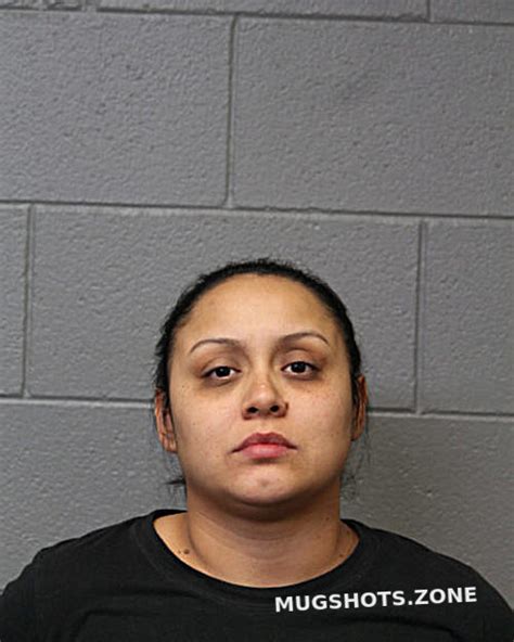 Sandra R Medina Chicago Mugshots Zone