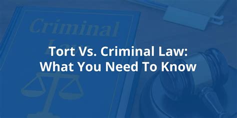 The Distinctions Between Tort and Criminal Law | DuBoff & Associates