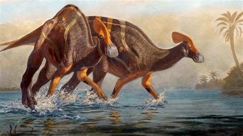 Nueva especie de dinosaurio hervíboro es hallado en Coahuila México