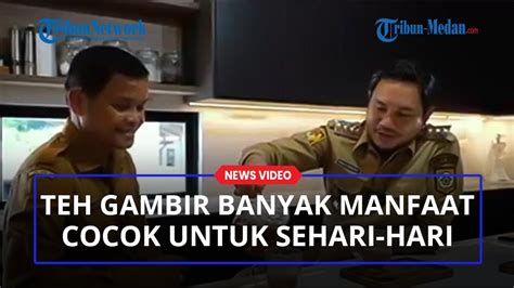 Ayo Dukung Teh Daun Gambir Asli Pakpak Bharat Sebagai Pemenang Dalam