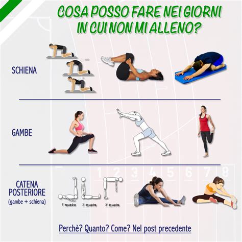 Preparazione Atletica Malaspina Sport Team