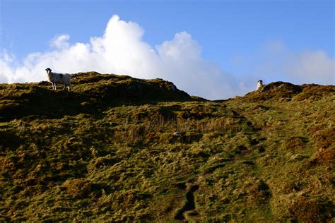 Low Fell And Fellbarrow AnnieB2010 Flickr