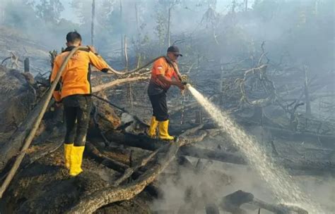 IPB Kini Punya Fire Simulator Pertama Di Asia Tenggara Latih Pemadaman