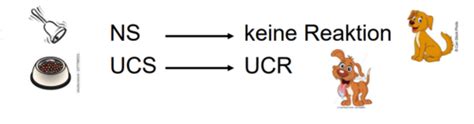 Fs Lerntheorien Karteikarten Quizlet