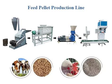 150 800kg H Feed Pellet Production Line For Poultry Cattle