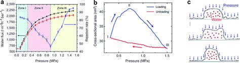 Tailoring Pores In Graphene Based Materials From Generation To