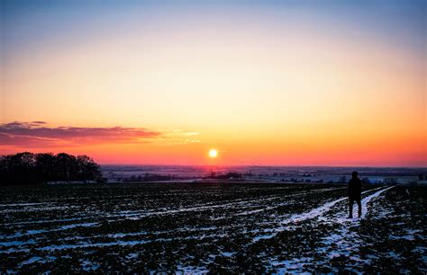 Sfondi luce del sole alberi ritratto tramonto città paesaggio