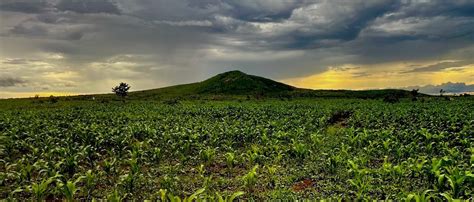 Malawi must put climate adaptation first | ISS Africa