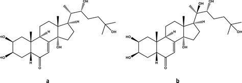 In Silico Identification Of Chemicals Capable Of Binding To The