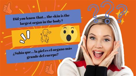 Did You Know The Skin Is The Largest Organ In Our Body La Piel