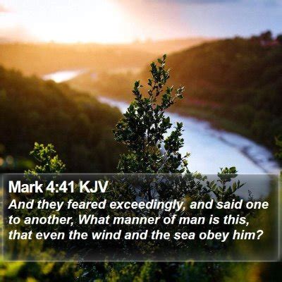 Mark 4 Scripture Images - Mark Chapter 4 KJV Bible Verse Pictures