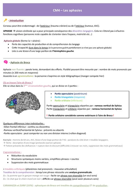 Cm Les Aphasies Partie Operculaire Post Rieure Partie