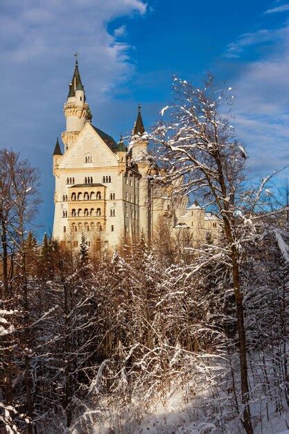 Premium Photo Neuschwanstein Castle In Winter Landscape Germany Bavaria