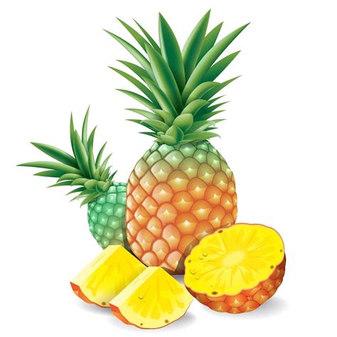 Ananas Isolé Sur Fond Blanc Vecteur Premium