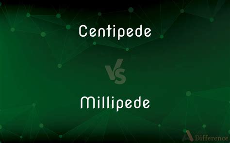 Centipede vs. Millipede — What’s the Difference?