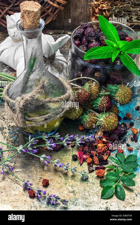 Rango Es Recogido Y Hierbas Y Plantas Medicinales Secas Para Las Yerbasphoto Tintados