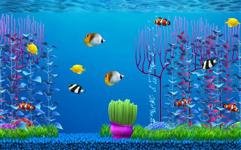 Free Fish Tank Wallpaper Screensavers - WallpaperSafari