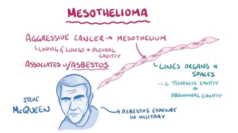 Mesothelium Histology