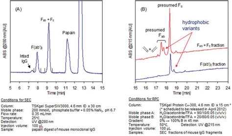 Separation Of Monoclonal Antibodies By Analytical Size Exclusion Chromatography Intechopen