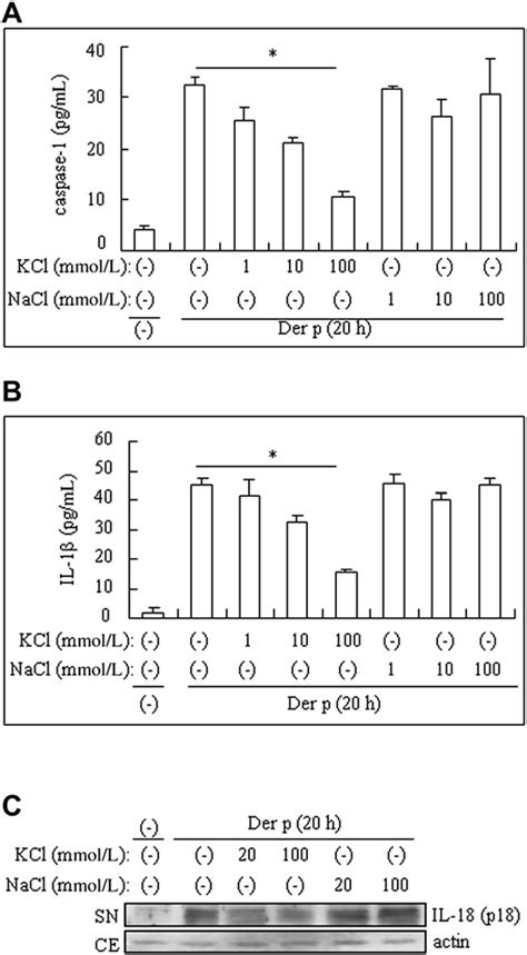 Extracellular K Inhibits D Pteronyssinus Der P Induced Activation