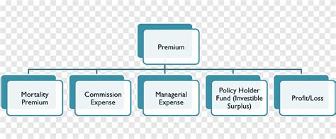 Organizational Structure Organizational Chart Management Insurance