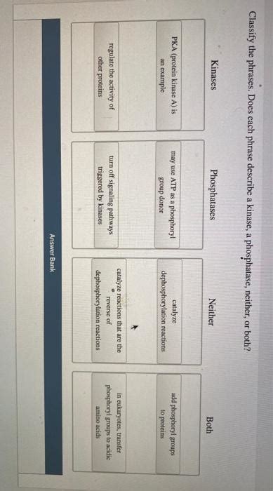 Classify The Phrases Does Each Phrase Describe A Chegg