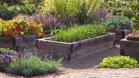 How To Fill A Raised Garden Bed Expert Tips To Get It Right Homes And Gardens