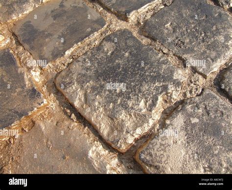 Street Paved With Gold Stock Photo Alamy