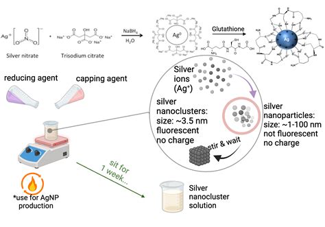 Synthesis Of Silver Nanoclusters And Nanoparticles Biorender Science