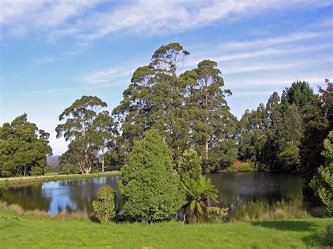 Newry Park Cottage Discover Tasmania