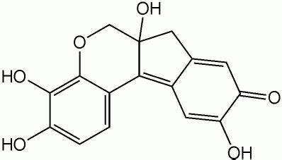 Haematoxylin - wikidoc