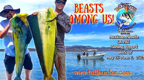 Mexican Minute La Paz Fishing Report From Tailhunter Sportfishing For