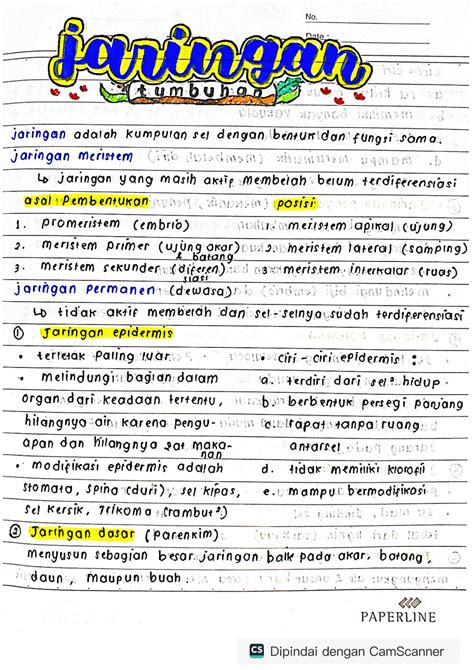 Solution Jaringan Tumbuhan Studypool