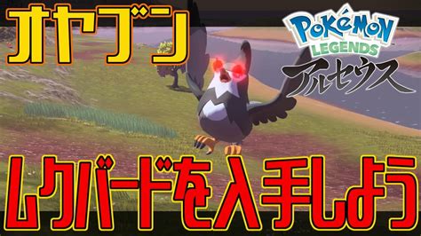 ポケモンアルセウスオヤブンのムクバードを入手しようPokémon LEGENDS アルセウス YouTube