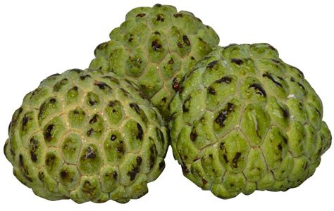 Kashmiri A Grade Fresh Custard Apple Packaging Type Carton Packaging