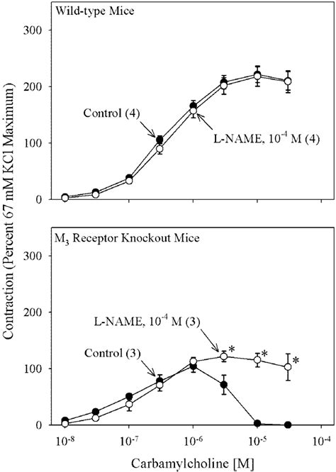 Effect Of L Name 10 4 M On The Concentration Response To