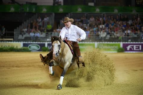 How Much Do Reining Horses Cost? | Prices & Buying Guide