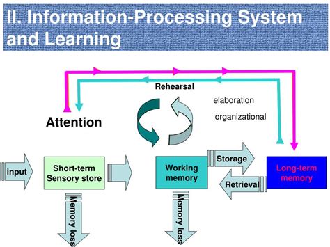 Ppt Understanding Learning And Memory Powerpoint Presentation Free