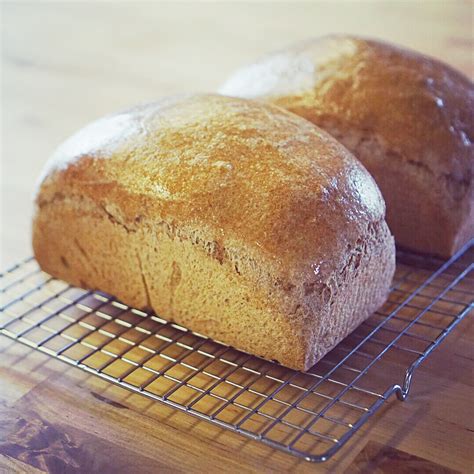 Molasses Whole Wheat Bread Machine Recipe At Deborah Martinez Blog