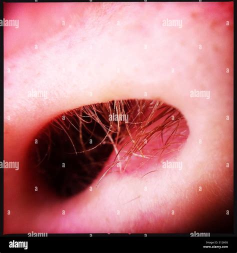 Close up nose hair hi-res stock photography and images - Alamy