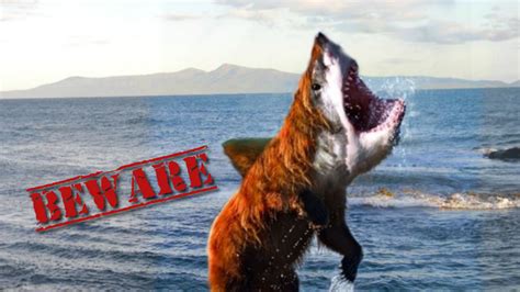 Bearshark Beware Wallpaper 1600 X 900 By Dangerousdeven On Deviantart