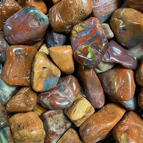 Petrified Wood Extra Large Tumbled Stone Mystic Valley