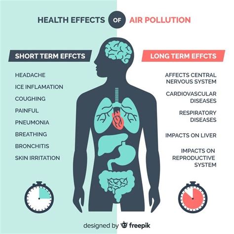 The Health Effects Of Air Pollution Are Shown In This Graphic Above It