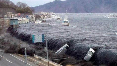 EFEK Potensi Tsunami 20 Meter Di Selatan Pulau Jawa BPBD Lumajang