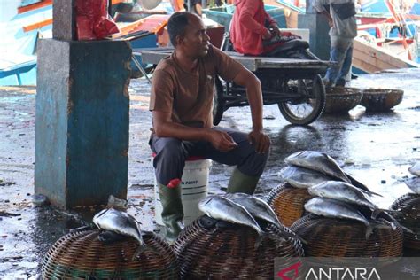 Harga Ikan Di Banda Aceh Turun Akibat Hasil Tangkapan Melimpah Antara