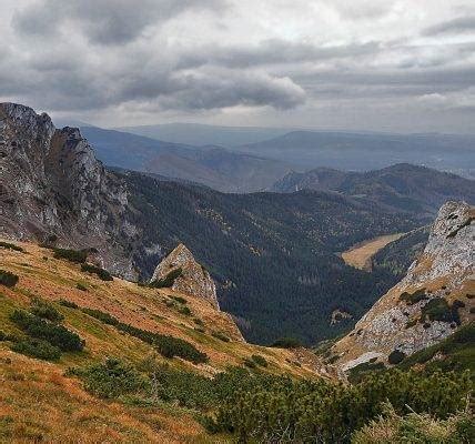 Bieszczadzki Park Narodowy Przyroda Polska Ro Liny Zwierz Ta Ekologia