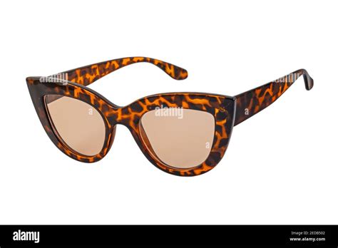 Brown Bold Leopard Textured Cat Eye Sunglasses With Clear Lenses And