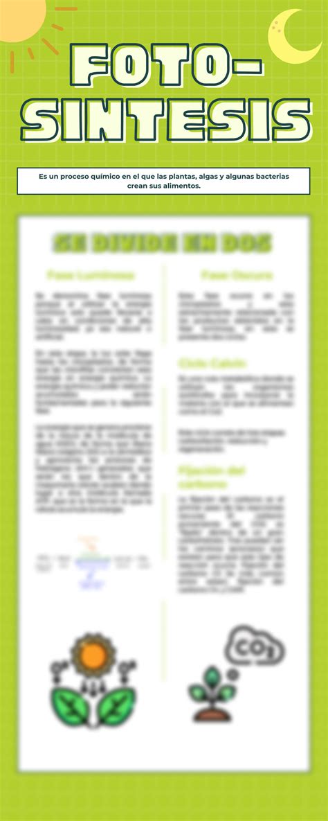 Solution Photosynthesis Infograf A De Fotos Ntesis Studypool